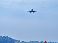 -空港花田景区