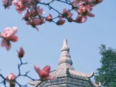 -长春观