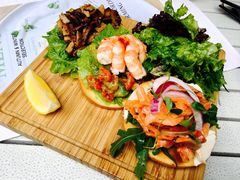 -the rug 飞毯 (朝阳公园店)