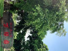 -万绿园