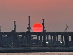 -宝安西湾红树林湿地公园