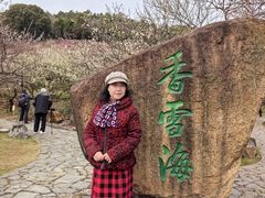 -香雪海