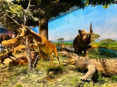 -国家自然博物馆