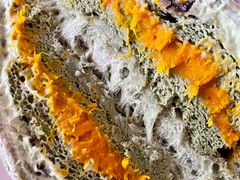 -七叔是岛民(花基新村店)