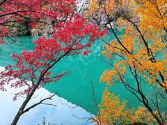 -叠溪松坪沟景区