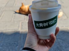 -大青树咖啡(大理古城店)