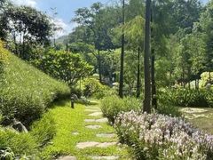 -云溪植物园
