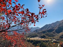 -水峪民俗村