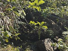 -广东大峡谷