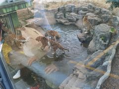 -深圳野生动物园