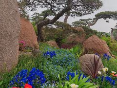 -罗红摄影艺术馆