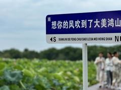 -梁鸿国家湿地公园
