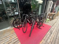 -道路口单车爱瓦士dahon大行