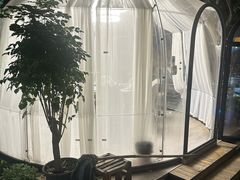 -张鸟园农家乐(张鸟园店)