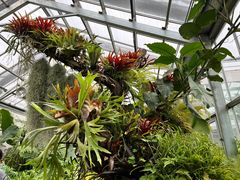 -国家植物园南园