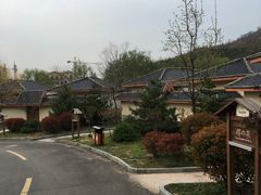 -徂徕山森林康养度假谷温泉