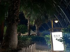 -洪湖悦兮半岛国际温泉度假村