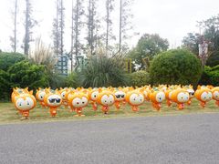 -上海长兴岛郊野公园