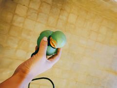 -春晖园度假酒店温泉