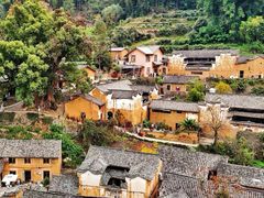 -杨家堂村