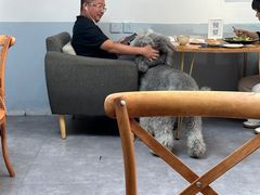 -沏点Trattoria意大利餐厅(新街口店)