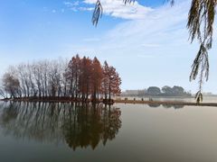 -贡湖湾湿地公园