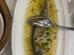 -皇朝尊会(龙之梦大酒店)