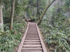 -青城山