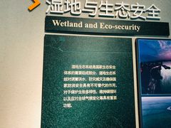 -中国湿地博物馆