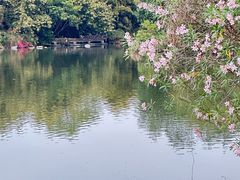 -海珠湖公园