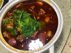 -先机泉水鸡汤(南山老君洞店)