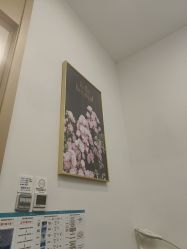 -广州紫馨整形外科医院