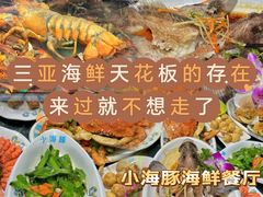 -小海豚•老字号海鲜餐厅(天涯店)