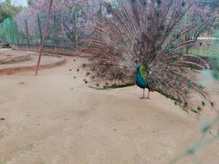 -武汉紫薇都市田园