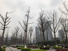 -两江幸福广场