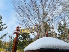 -汤泊温泉度假村