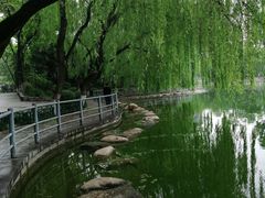 -莲湖公园