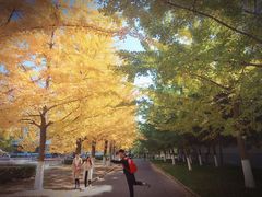 -辽东学院(南校区)