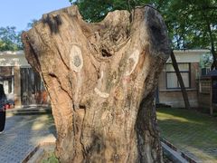 -中国航空博物馆