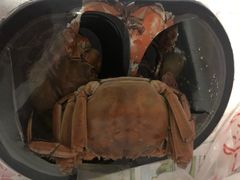 -杜六房(大沽路店)