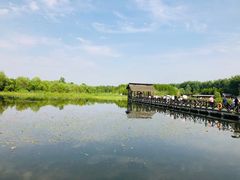 -溱湖国家湿地公园