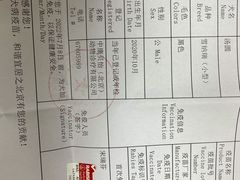-宠颐生中康贝怡动物医院