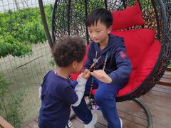 -樂桃源奉贤黄桃种植采摘基地