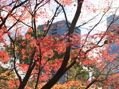 -天王寺公园