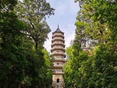 -灵谷景区