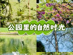 -苏州河梦清园环保主题公园