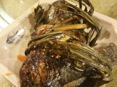 -多哥水傣味餐厅(司马巷店)