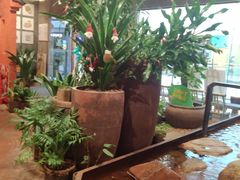 -老客家·客家菜(万达店)