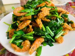 河虾炒韭菜-何适山庄 ·可团建(水长城P2停车场店)