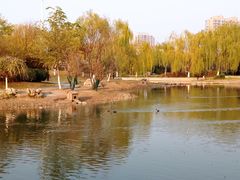 -南翠屏公园